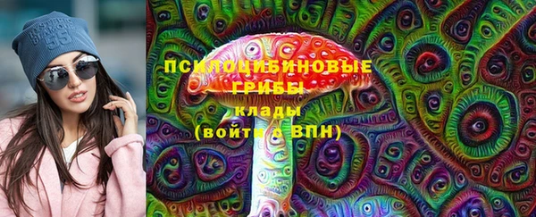 прущий лед Белокуриха