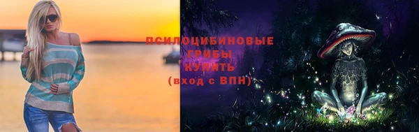 прущий лед Белокуриха