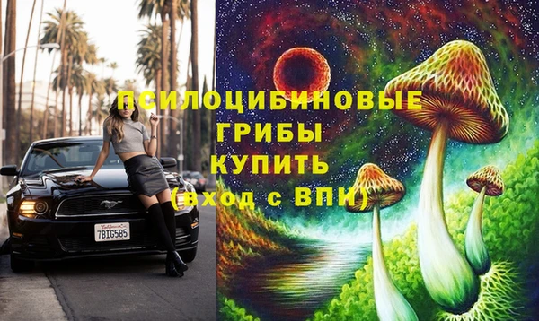 прущий лед Белокуриха