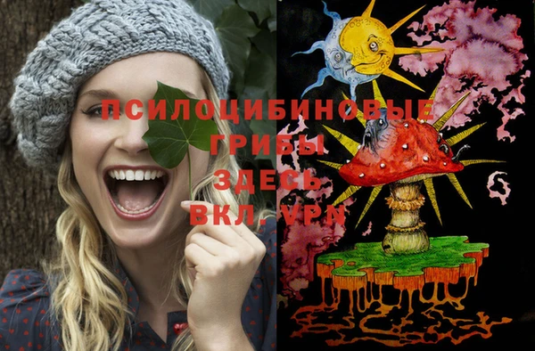 прущий лед Белокуриха
