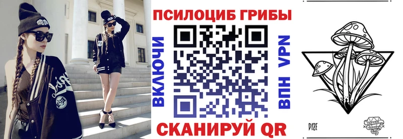 гидра как зайти  Электроугли  Псилоцибиновые грибы мухоморы 